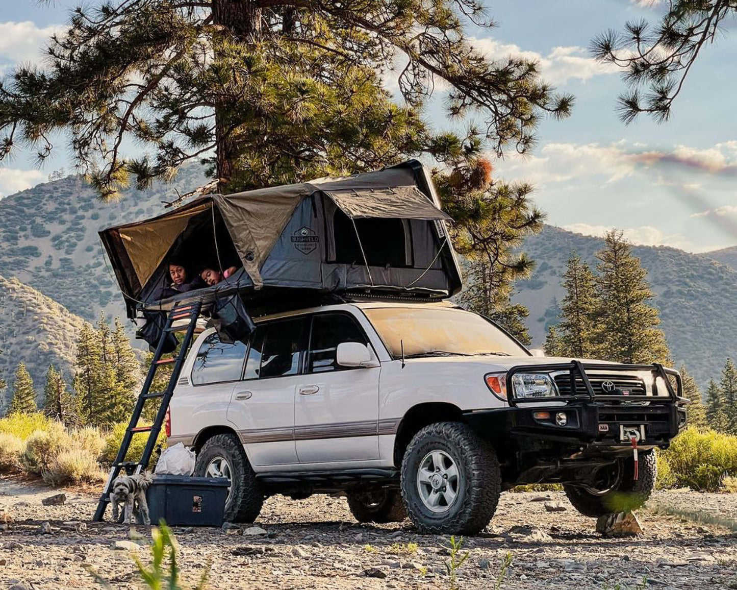 Bushveld Cantilever Rooftop Tent