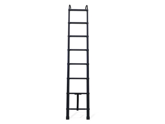 Rev Ladder